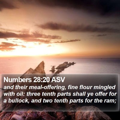 Numbers 28:20 ASV Bible Verse Image