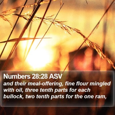 Numbers 28:28 ASV Bible Verse Image