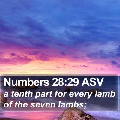 Numbers 28:29 ASV Bible Verse Image