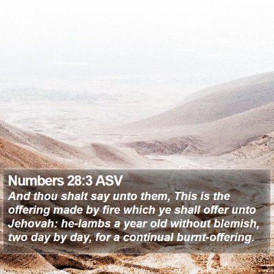 Numbers 28:3 ASV Bible Verse Image