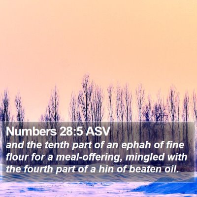 Numbers 28:5 ASV Bible Verse Image