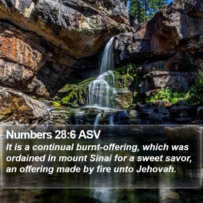 Numbers 28:6 ASV Bible Verse Image
