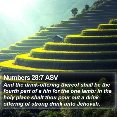 Numbers 28:7 ASV Bible Verse Image
