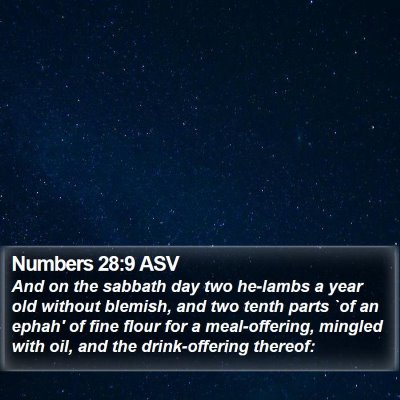 Numbers 28:9 ASV Bible Verse Image