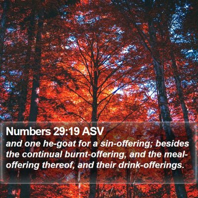 Numbers 29:19 ASV Bible Verse Image