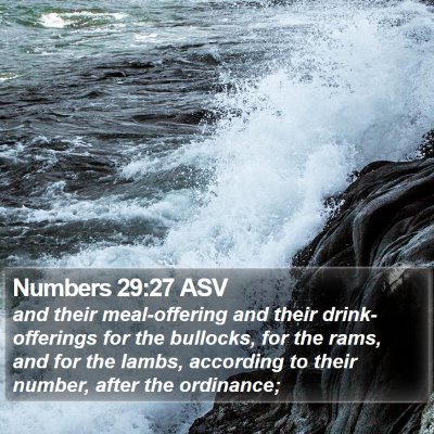 Numbers 29:27 ASV Bible Verse Image