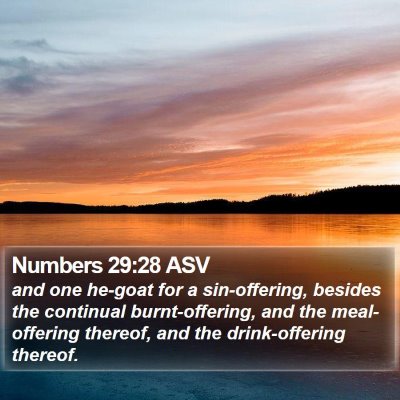 Numbers 29:28 ASV Bible Verse Image
