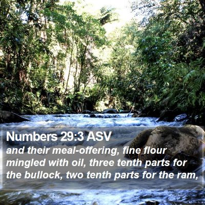 Numbers 29:3 ASV Bible Verse Image