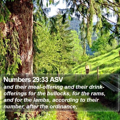 Numbers 29:33 ASV Bible Verse Image