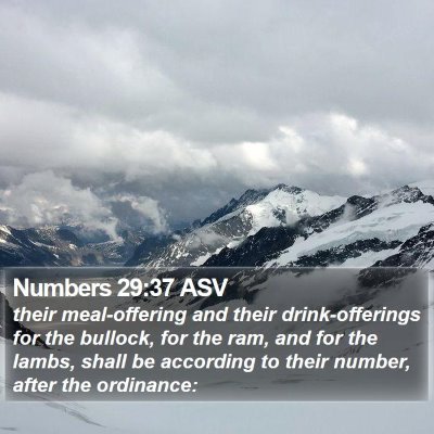 Numbers 29:37 ASV Bible Verse Image