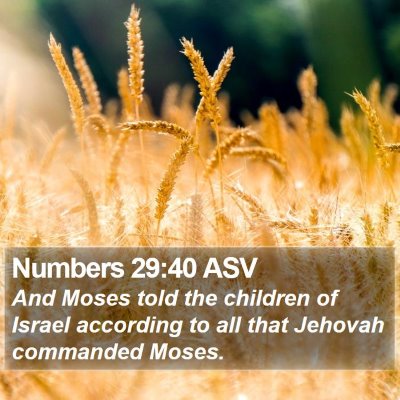 Numbers 29:40 ASV Bible Verse Image