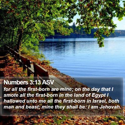 Numbers 3:13 ASV Bible Verse Image