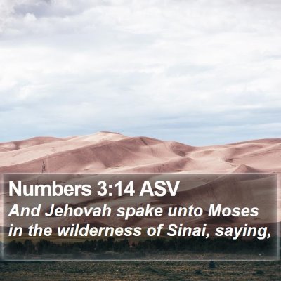 Numbers 3:14 ASV Bible Verse Image
