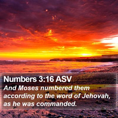 Numbers 3:16 ASV Bible Verse Image