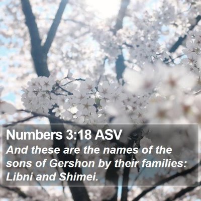 Numbers 3:18 ASV Bible Verse Image