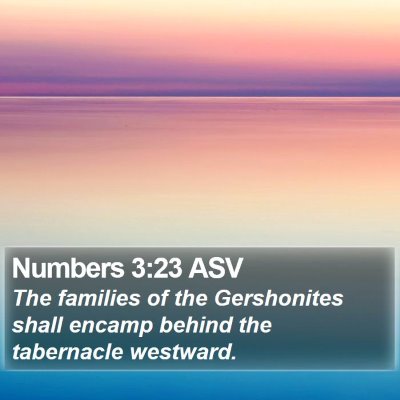 Numbers 3:23 ASV Bible Verse Image