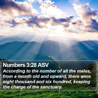 Numbers 3:28 ASV Bible Verse Image