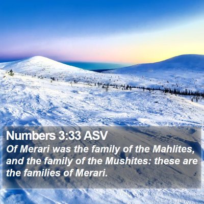 Numbers 3:33 ASV Bible Verse Image