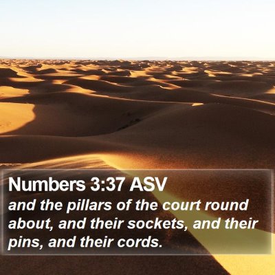 Numbers 3:37 ASV Bible Verse Image