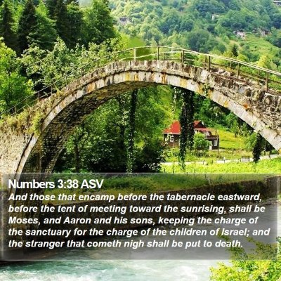 Numbers 3:38 ASV Bible Verse Image