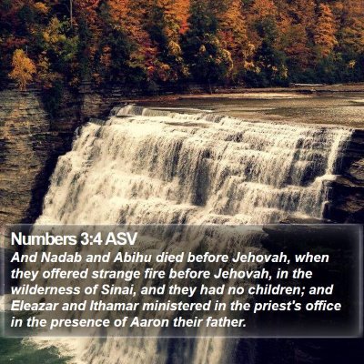 Numbers 3:4 ASV Bible Verse Image