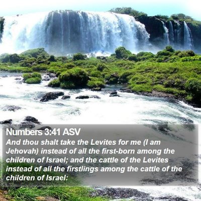 Numbers 3:41 ASV Bible Verse Image