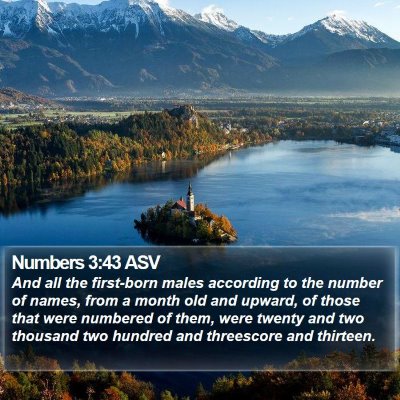 Numbers 3:43 ASV Bible Verse Image