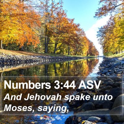 Numbers 3:44 ASV Bible Verse Image