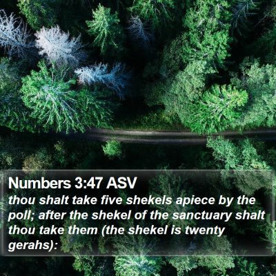 Numbers 3:47 ASV Bible Verse Image