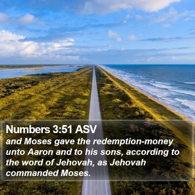 Numbers 3:51 ASV Bible Verse Image