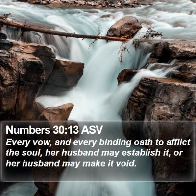 Numbers 30:13 ASV Bible Verse Image