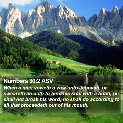 Numbers 30:2 ASV Bible Verse Image