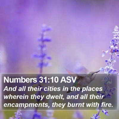Numbers 31:10 ASV Bible Verse Image