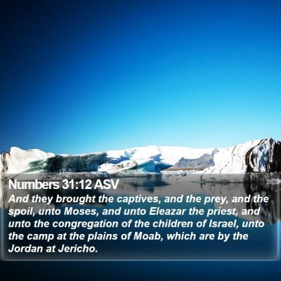 Numbers 31:12 ASV Bible Verse Image