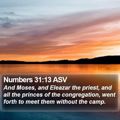 Numbers 31:13 ASV Bible Verse Image
