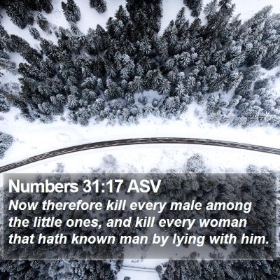 Numbers 31:17 ASV Bible Verse Image