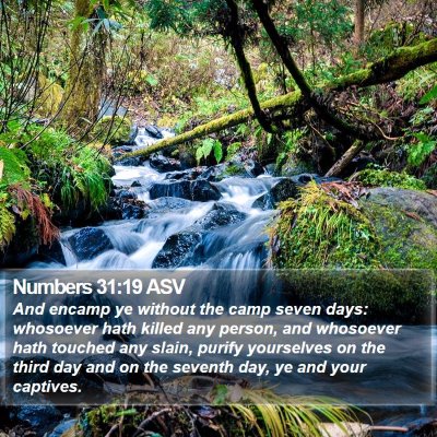 Numbers 31:19 ASV Bible Verse Image