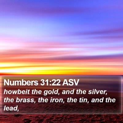 Numbers 31:22 ASV Bible Verse Image