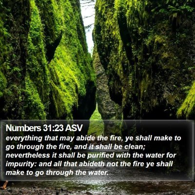Numbers 31:23 ASV Bible Verse Image