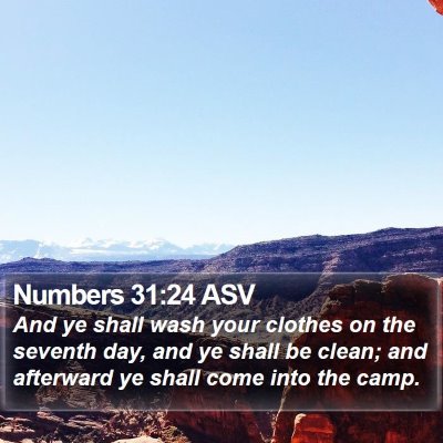 Numbers 31:24 ASV Bible Verse Image