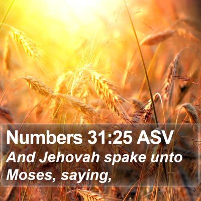 Numbers 31:25 ASV Bible Verse Image