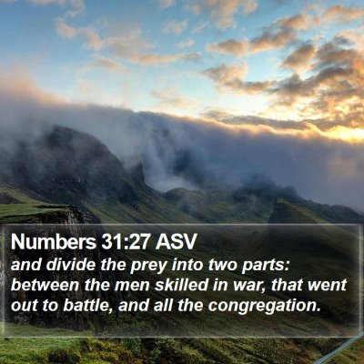 Numbers 31:27 ASV Bible Verse Image