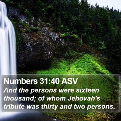 Numbers 31:40 ASV Bible Verse Image