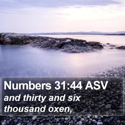 Numbers 31:44 ASV Bible Verse Image