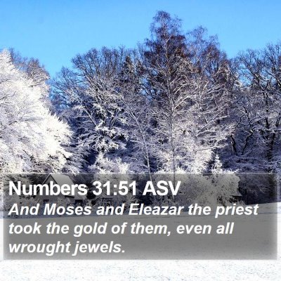 Numbers 31:51 ASV Bible Verse Image