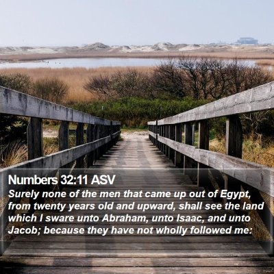Numbers 32:11 ASV Bible Verse Image