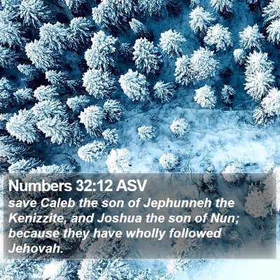 Numbers 32:12 ASV Bible Verse Image