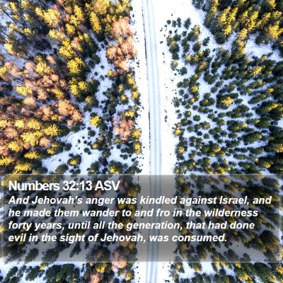 Numbers 32:13 ASV Bible Verse Image
