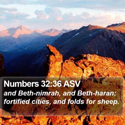 Numbers 32:36 ASV Bible Verse Image