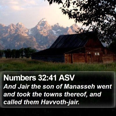 Numbers 32:41 ASV Bible Verse Image